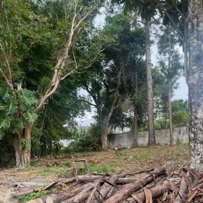 Terrenos Residenciais com 455m², no bairro Ratones em Florianópolis