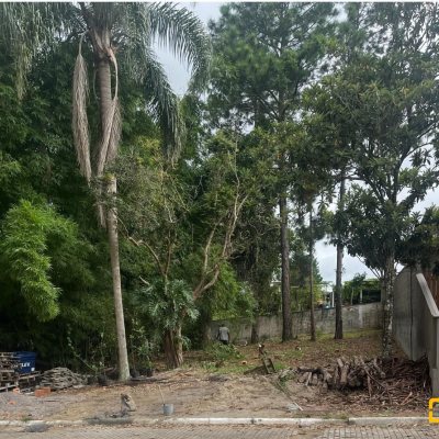 Terrenos Residenciais com 455m², no bairro Ratones em Florianópolis