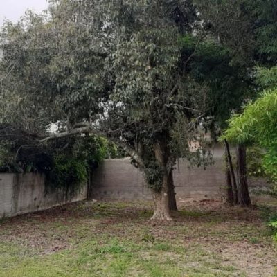 Terrenos Residenciais com 455m², no bairro Ratones em Florianópolis