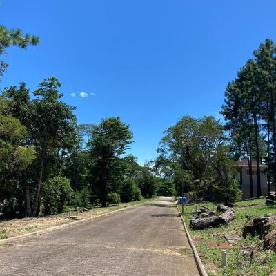 Terrenos Residenciais com 455m², no bairro Ratones em Florianópolis