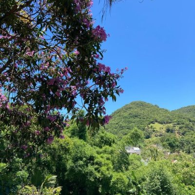 Terrenos Residenciais com 455m², no bairro Ratones em Florianópolis