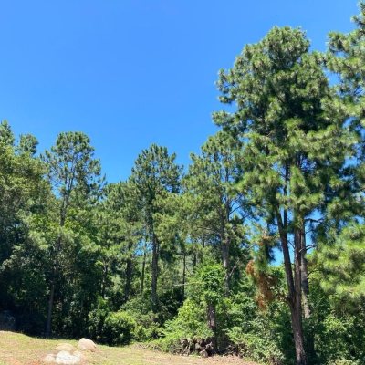 Terrenos Residenciais com 455m², no bairro Ratones em Florianópolis