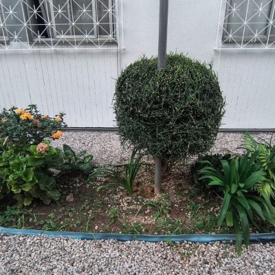 Apartamentos com 65m², 3 quartos, 1 garagem, no bairro Kobrasol em São José