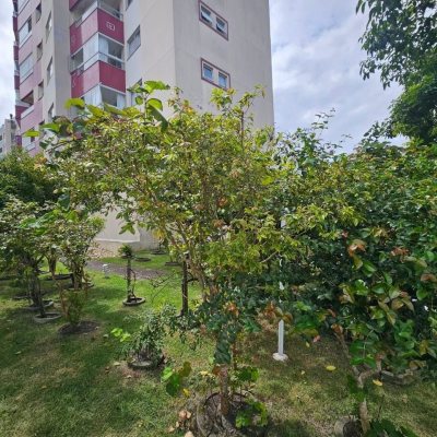 Cobertura com 116m², 2 quartos, 1 suíte, 2 garagens, no bairro Capoeiras em Florianópolis