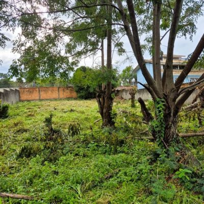 Terreno Comercial/Residencial com 538m², no bairro Campeche em Florianópolis
