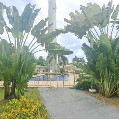 Apartamentos com 45m², 2 quartos, 1 garagem, no bairro Roçado em São José