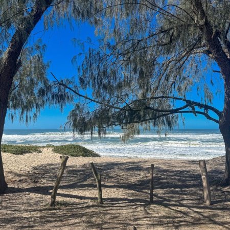 Dunas do Moçambique em Florianópolis