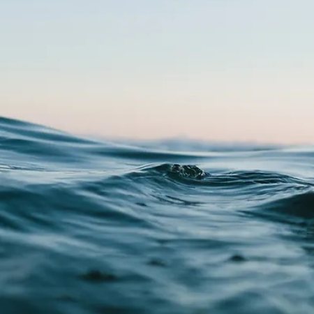 Makai em Florianópolis