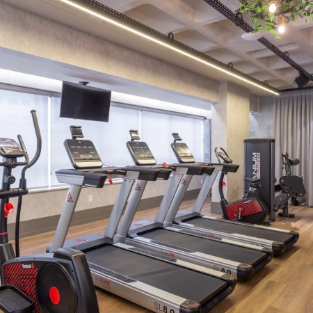 Voga Kobrasol em São José