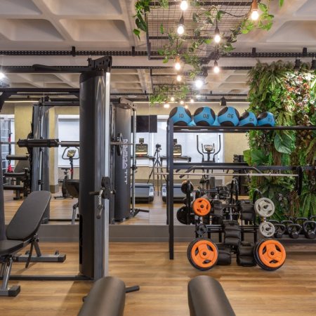 Voga Kobrasol em São José