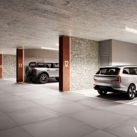 Jacarandá em Florianópolis