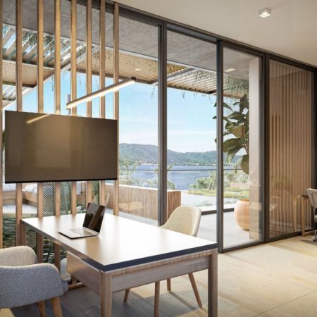 Jacarandá em Florianópolis