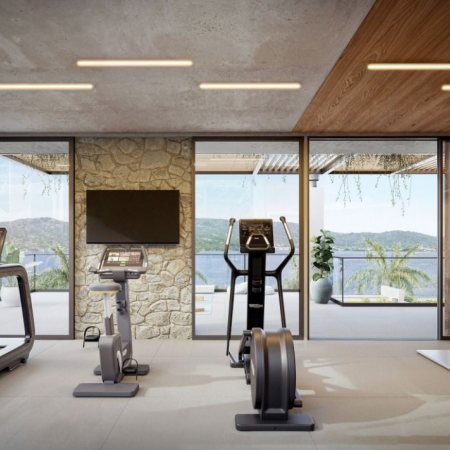 Jacarandá em Florianópolis