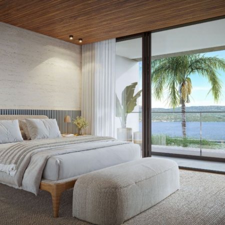 Jacarandá em Florianópolis