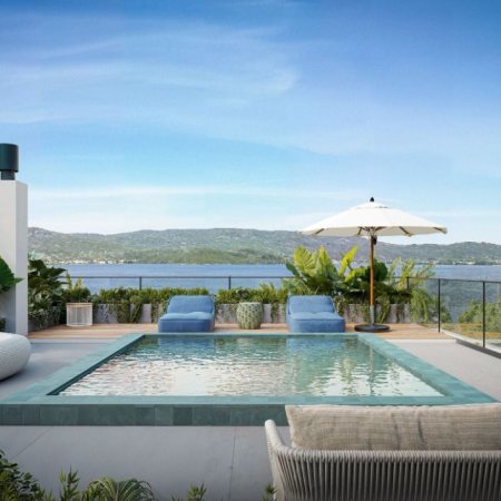 Jacarandá em Florianópolis