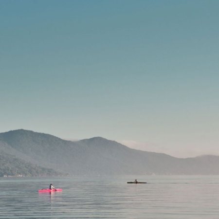Jacarandá em Florianópolis