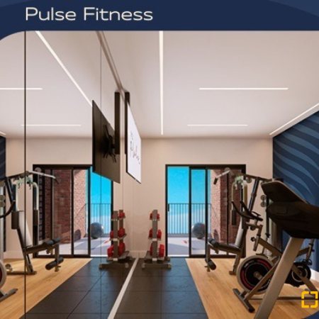 VYU PULSE em Florianópolis