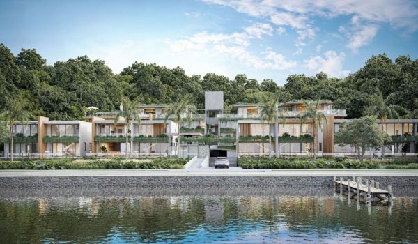 Jacarandá em Florianópolis